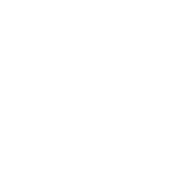 White recycling icon