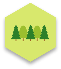 Trees icon