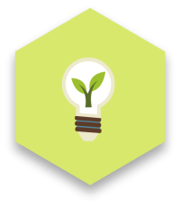 Light bulb with plant inside icon