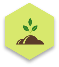 Soil and plant icon
